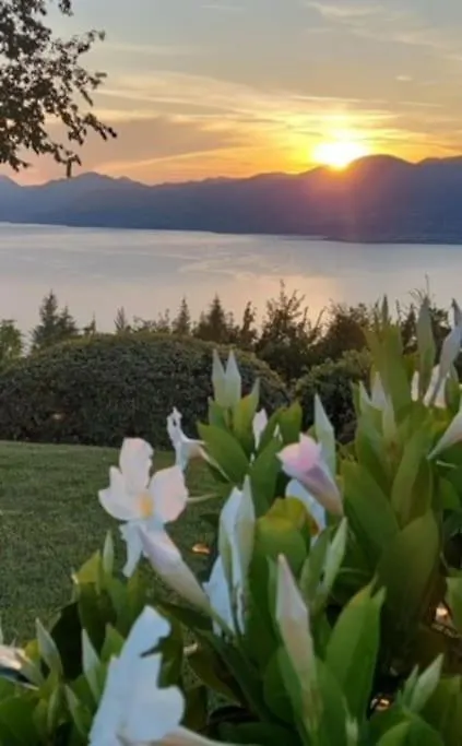 Guest House In Villa Gabrielle Torri Del Benaco Italy