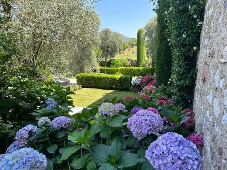 Guest House In Villa Gabrielle Torri Del Benaco 0*,